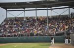 Fans packed the Bee Hive all season long.